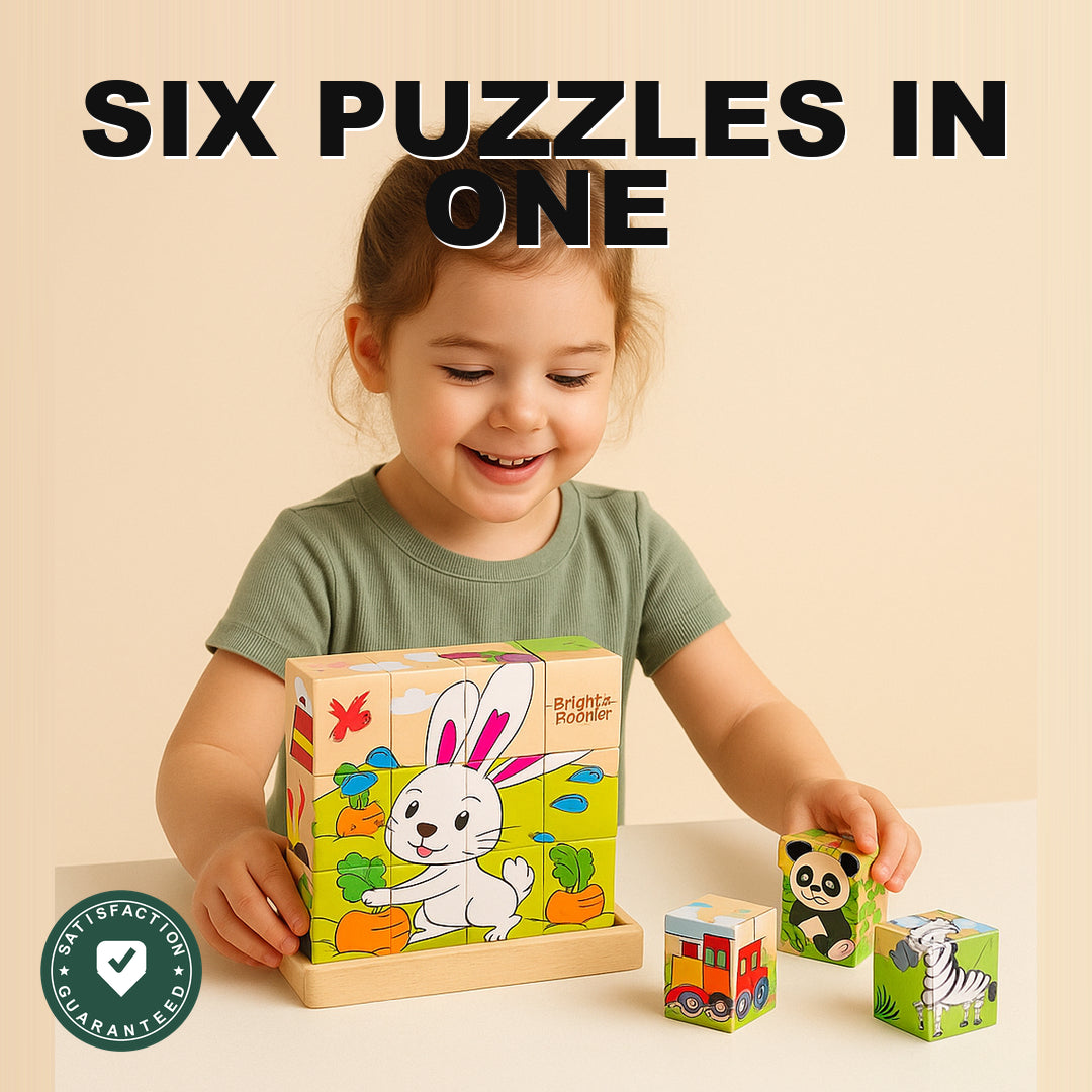 Six-Side Wooden Cube Puzzle - Six Puzzles In One