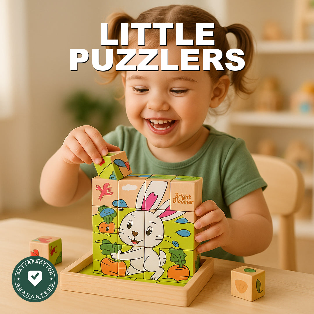 Six-Side Wooden Cube Puzzle - Little Puzzlers