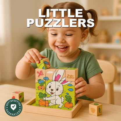 Six-Side Wooden Cube Puzzle - Little Puzzlers