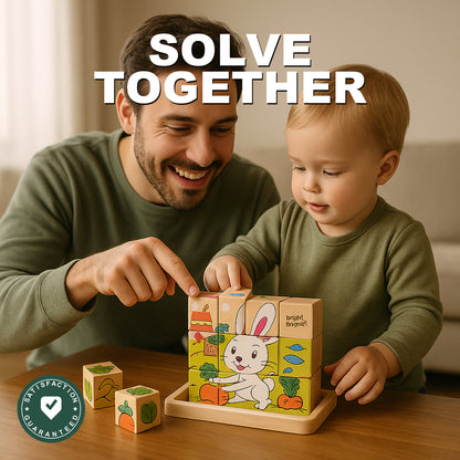 Six-Side Wooden Cube Puzzle - Solve Together
